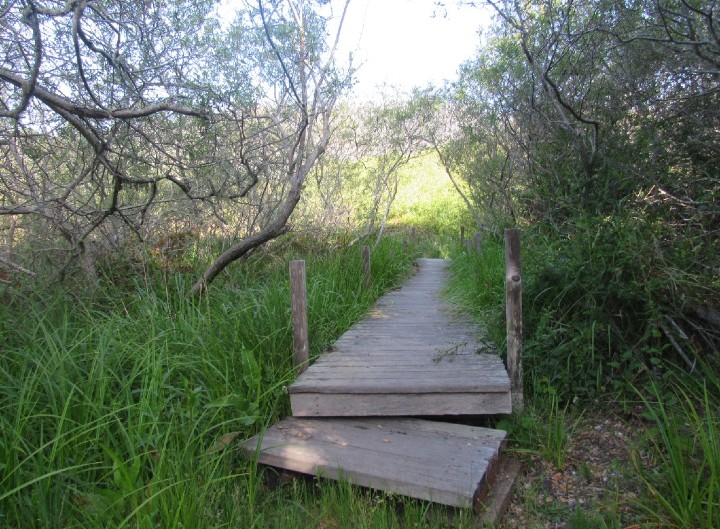 Herp habitat